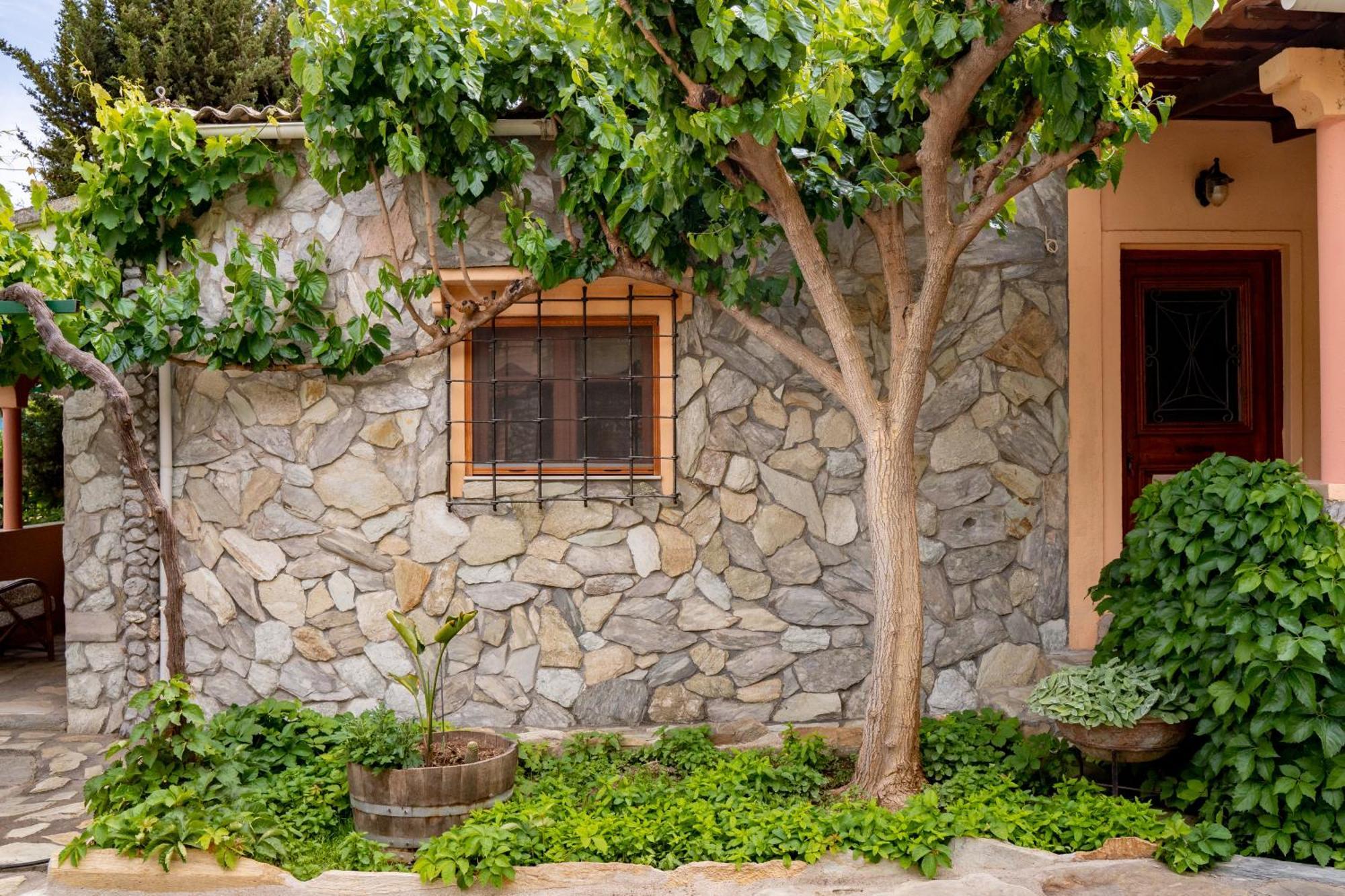 Dm Elegant And Charming Villa Foinikiá エクステリア 写真