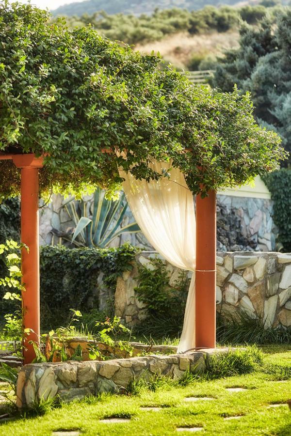 Dm Elegant And Charming Villa Foinikiá エクステリア 写真
