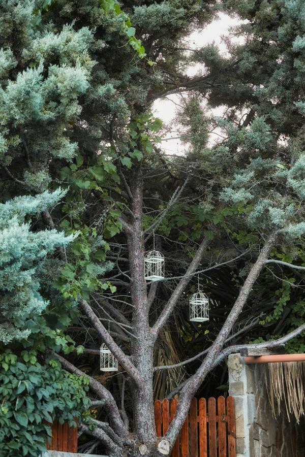 Dm Elegant And Charming Villa Foinikiá エクステリア 写真